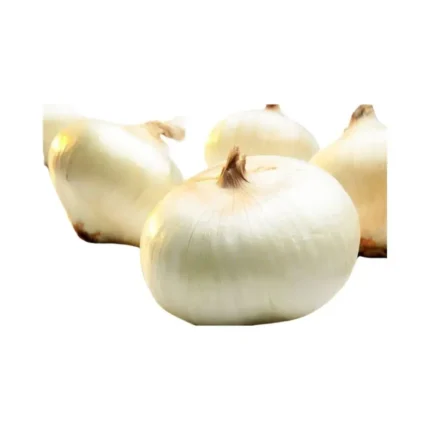 Plantel De Cebolla Dulce Fuentes