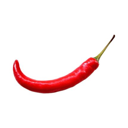 Plantel  De Pimiento Guindilla