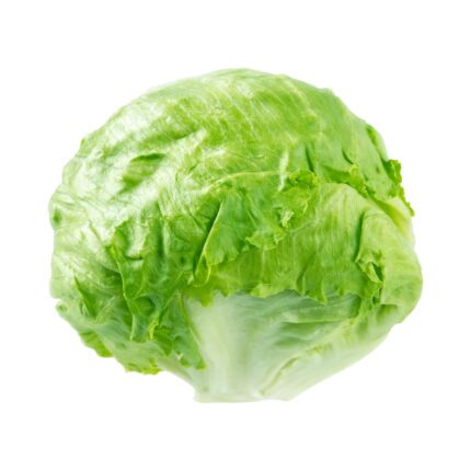Plantel De Lechuga Iceberg