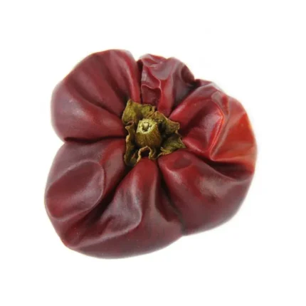 Plantel  De Pimiento Ñora