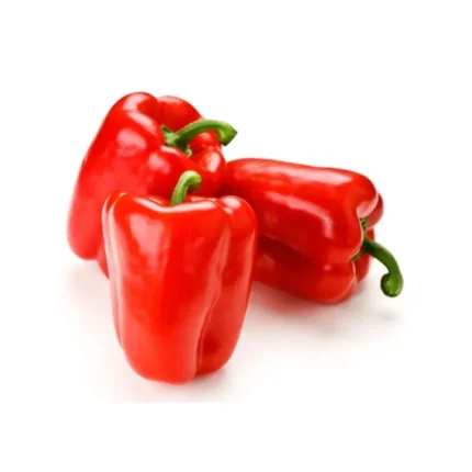 Plantel De Pimiento 4 Morros