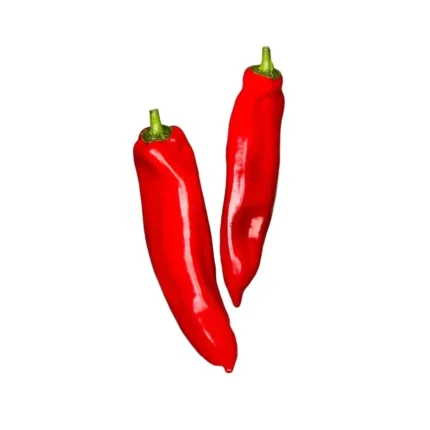 Plantel De Piemiento Cayosi