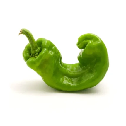 Plantel  De Pimiento Italiano