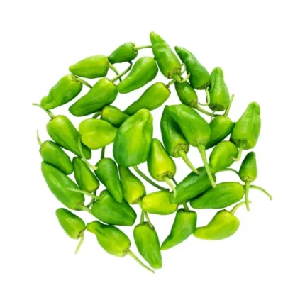 Plantel De Pimiento Padron