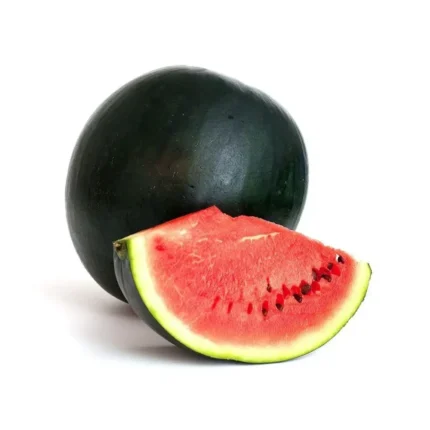 Plantel De Sandia Negra Injertada