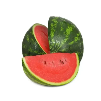 Plantel  De Sandia Rayada Injertada