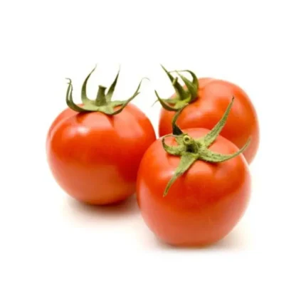 Plantel  De Tomate Optima