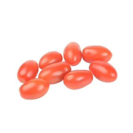 Plantel  De Tomate Pera Encañar