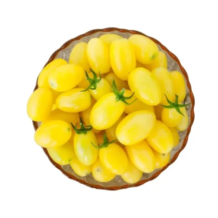 Plantel De Tomate Cherry Pera Amarillo