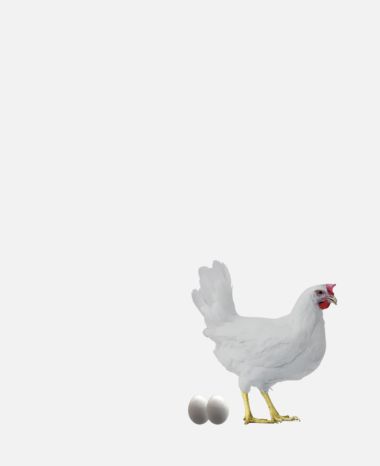 promo-banner-image